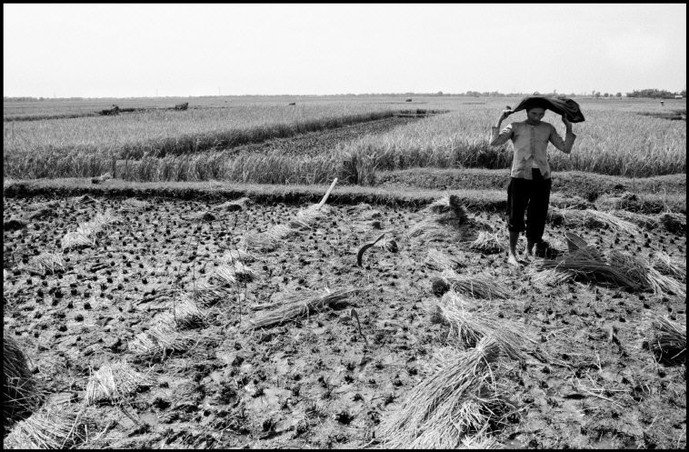 Loat anh “goc canh” ve Ha Noi nam 1990 cua Larry Towell (2)-Hinh-8