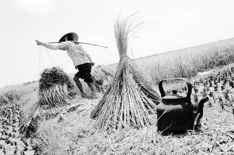 Loat anh “goc canh” ve Ha Noi nam 1990 cua Larry Towell (2)-Hinh-9