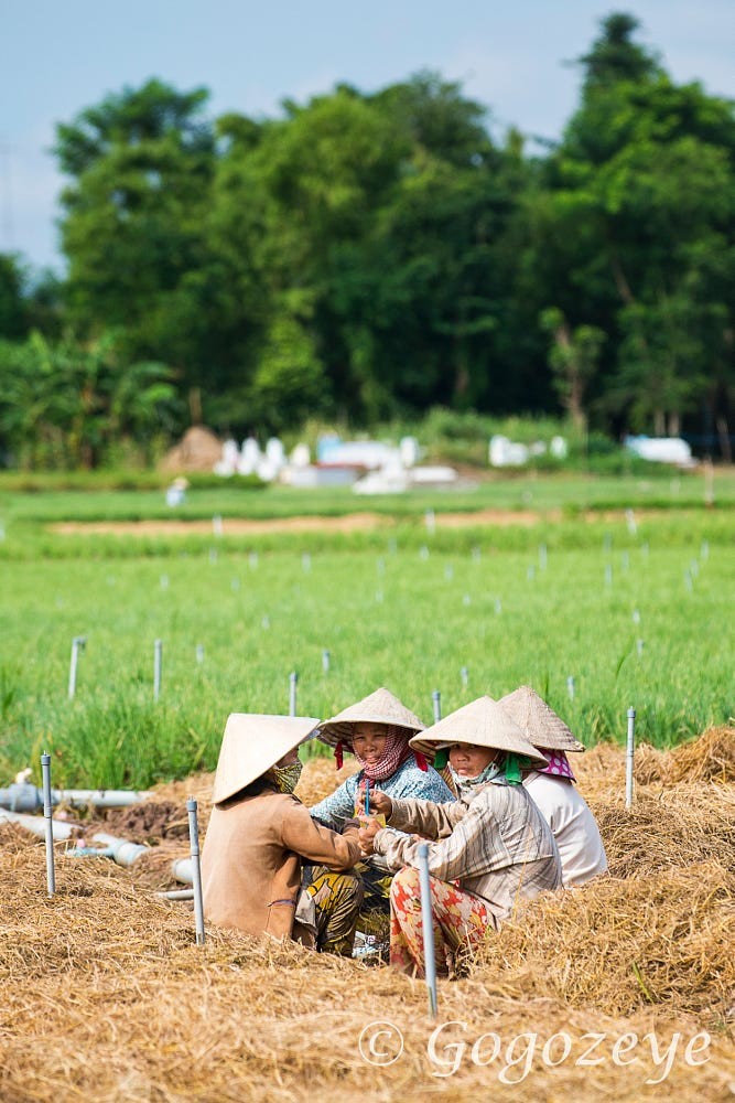 Loat anh tuyet voi ve Viet Nam cua Raymond Low (2)-Hinh-9