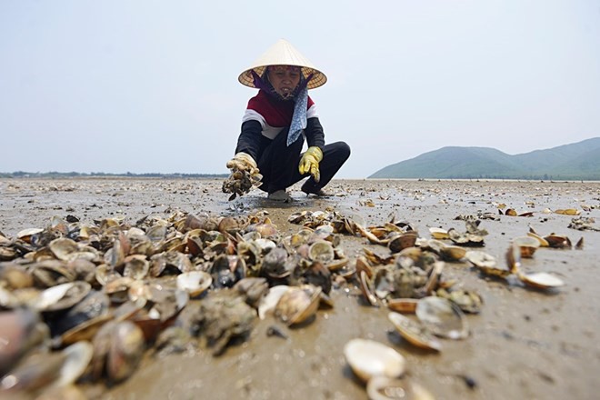 “Ong Vo Kim Cu khong con du uy tin de lam dai bieu Quoc hoi“