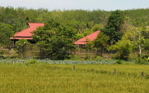 Tin moi vu xay dung trai phep tren dat nong nghiep o Kon Tum