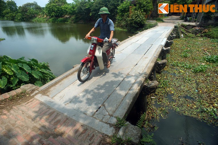 Chiem nguong cay cau da co dep nhat Bac Bo-Hinh-2