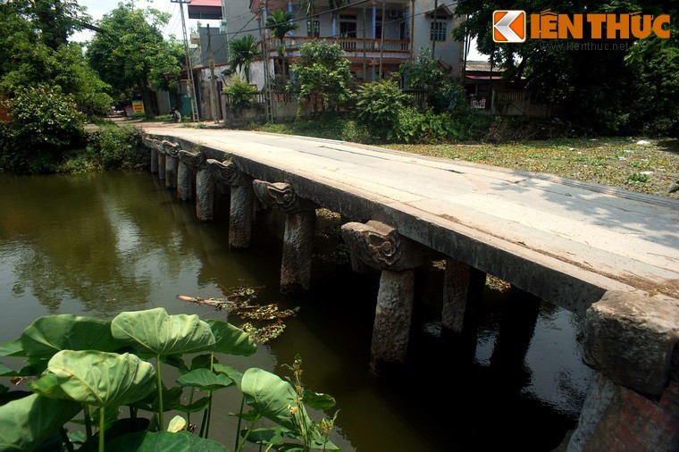 Chiem nguong cay cau da co dep nhat Bac Bo-Hinh-5