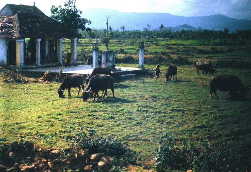 Anh phong canh dep hut hon ve Quang Ngai nam 1967 (1)-Hinh-6