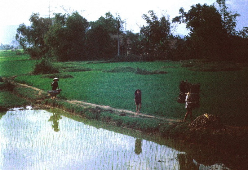 Anh phong canh dep hut hon ve Quang Ngai nam 1967 (1)-Hinh-7