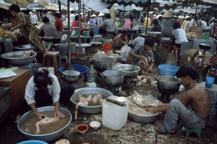 Viet Nam cuoi thap nien 1990 trong anh cua Hiroji Kubota (1)-Hinh-7