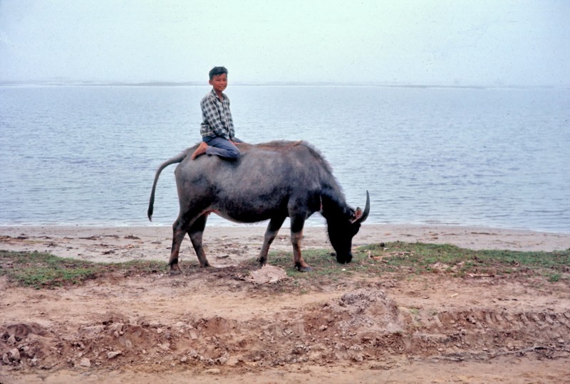 Anh doi thuong hiem co ve Hue va Quang Tri nam 1967-Hinh-6