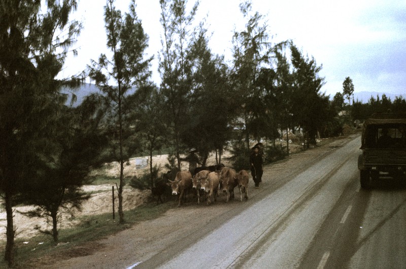 Quang Ngai nam 1967 qua ong kinh si quan phao binh My (1)-Hinh-15