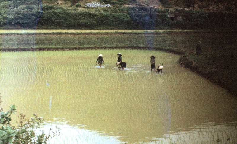 Quang Ngai nam 1967 qua ong kinh si quan phao binh My (2)-Hinh-2