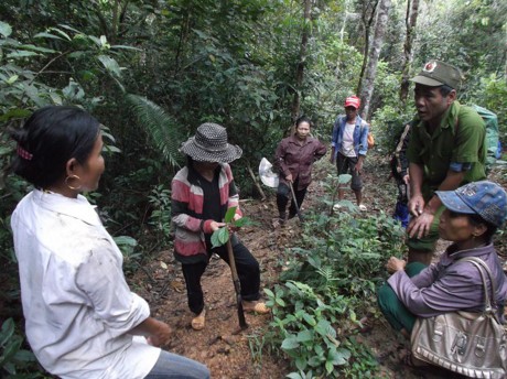 Quang Binh: Giam doc rung phong ho “mat tich” bi an