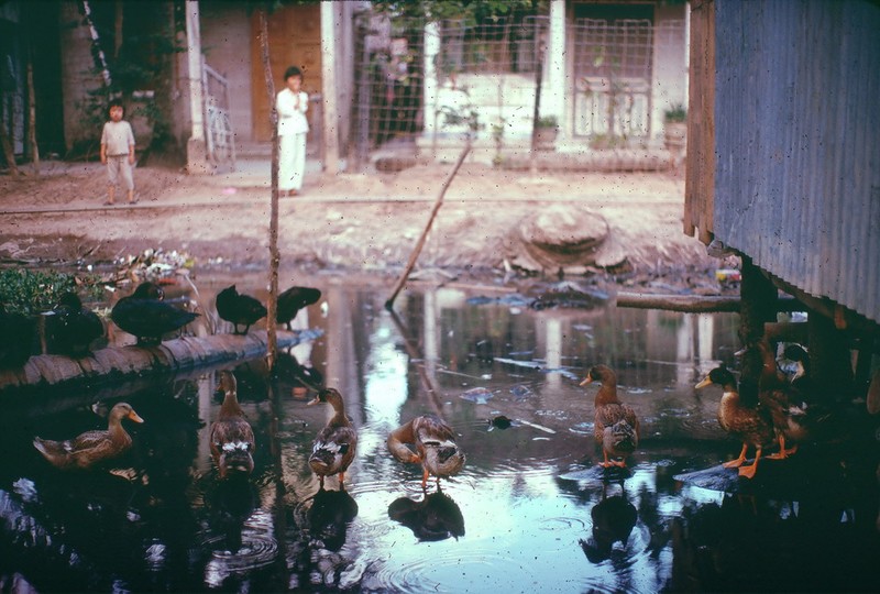 Anh doi thuong sieu song dong o Can Tho nam 1968-1969 (1)-Hinh-9