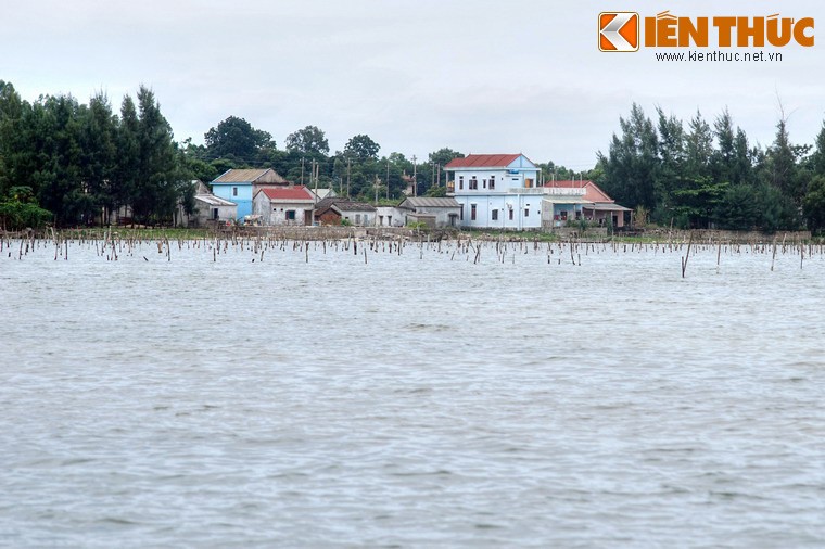 Nhung dieu khien du khach da doi o dam Lap An-Hinh-6