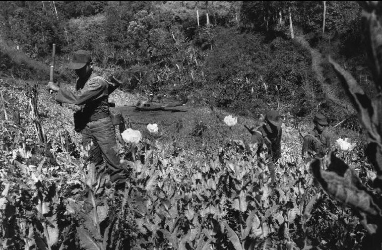 Dot nhap Tam giac Vang toi loi o Thai Lan nam 1992-Hinh-6