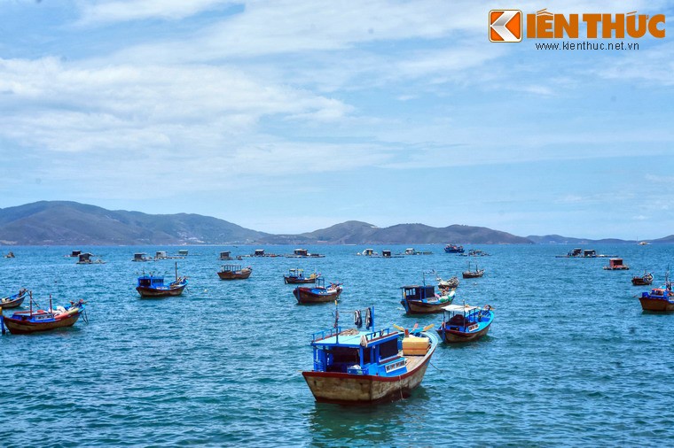 Dieu gi khien vinh Nha Trang duoc ngoi ca la vinh dep nhat TG?-Hinh-11