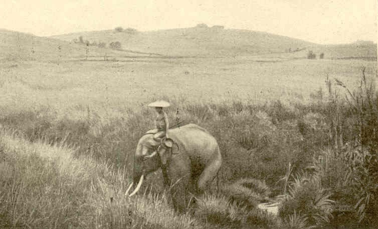 Cao nguyen Langbiang 1901-1902 qua ong kinh nha tham hiem Phap (2)-Hinh-13