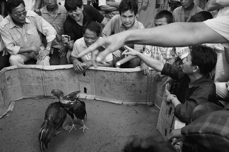 Loat anh de doi ve thanh pho Vientiane thap nien 1990 (1)-Hinh-4