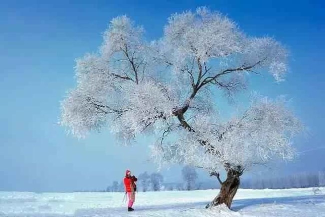 Sững sờ cảnh sắc mùa đông đẹp tựa trốn bồng lai tiên cảnh ở Trung Quốc - Ảnh 17