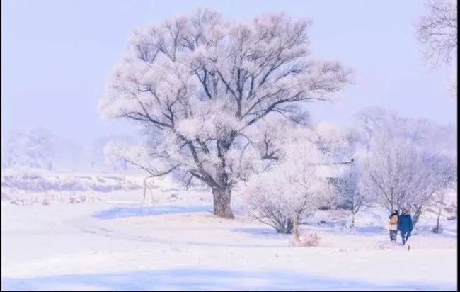 Sững sờ cảnh sắc mùa đông đẹp tựa trốn bồng lai tiên cảnh ở Trung Quốc - Ảnh 24