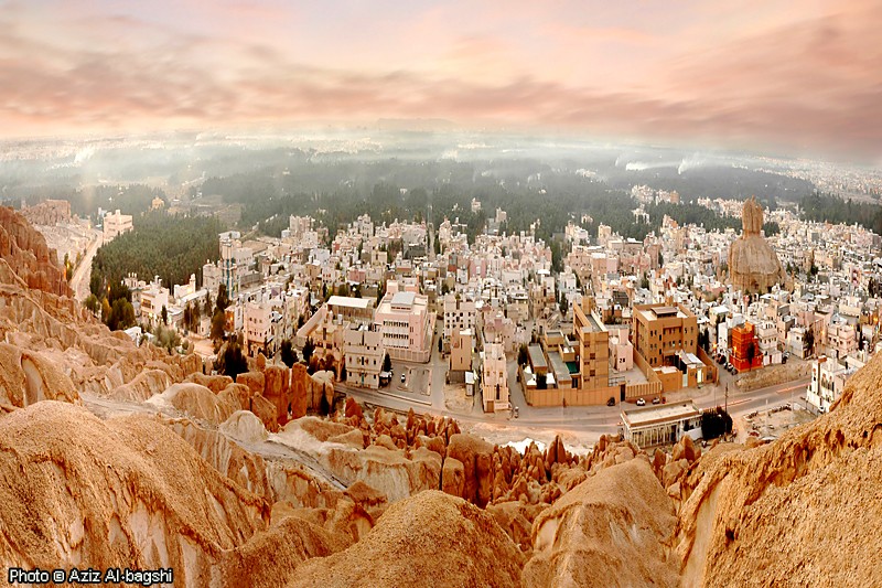 Image result for al-ahsa oasis