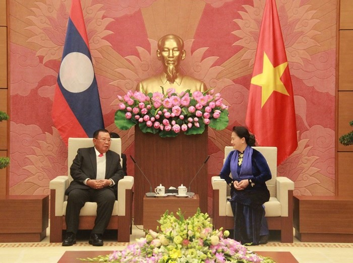 Toàn cảnh chuyến thăm Việt Nam của Tổng Bí thư, Chủ tịch nước Lào - Ảnh 5