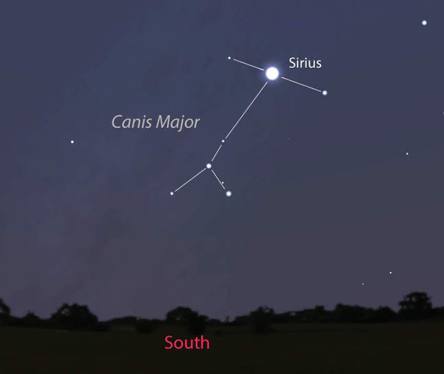 Image result for sirius