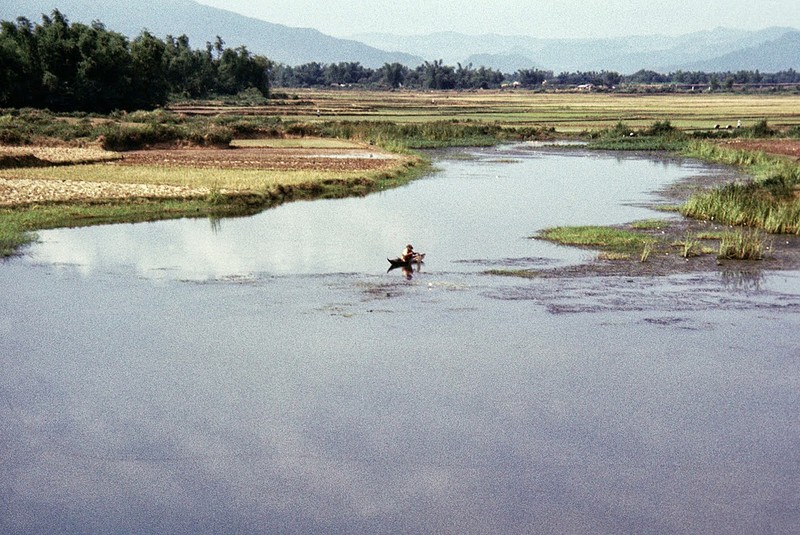 Hinh anh sinh dong cua Binh Dinh nam 1969-1970-Hinh-15