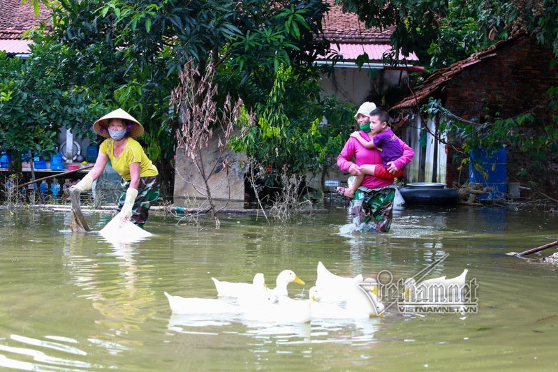 Ngap lut o Chuong My: Khon don rac tran vao nha-Hinh-19