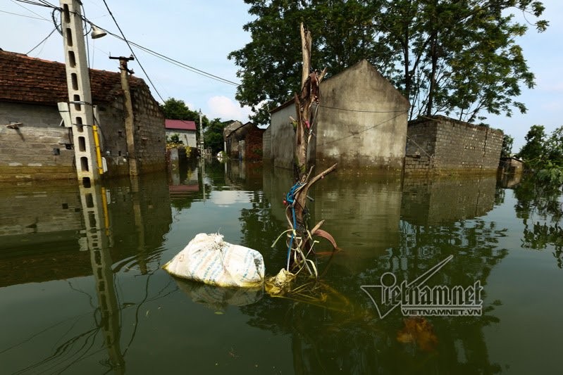 Ngap lut o Chuong My: Khon don rac tran vao nha-Hinh-6