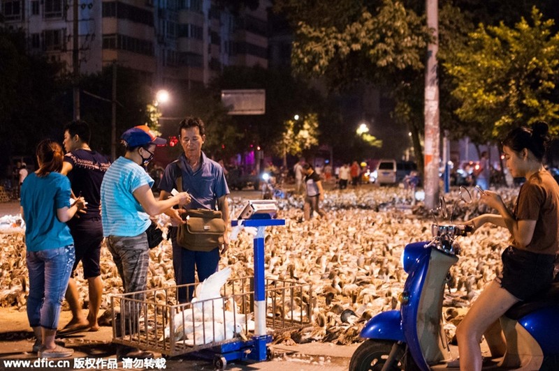 Su that kho tin ve le Vu Lan linh thieng o Trung Quoc-Hinh-10