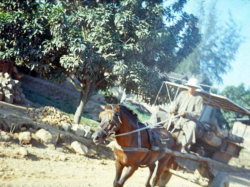 Cuoc song o Phan Rang nam 1867-1968 qua anh cua linh My-Hinh-8