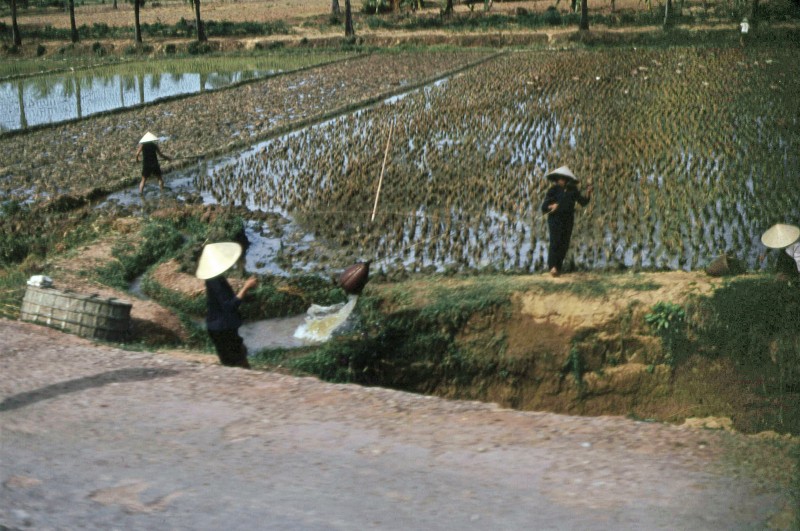 Loat anh kho quen ve Binh Dinh nam 1968 cua Steve Simpson-Hinh-11