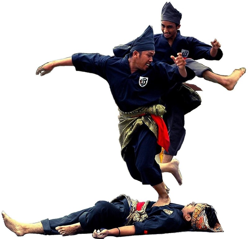 Dieu thu vi ve Pencak silat - mon vo “dac san” Dong Nam A-Hinh-15