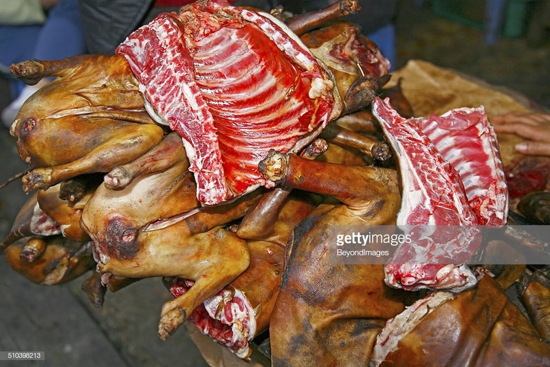 Thit cho Ha Noi “cuc di” qua loat anh cua Getty-Hinh-2