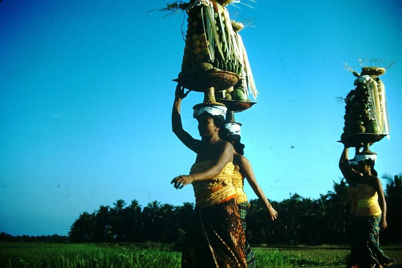 Kham pha hon dao thien duong Bali nam 1952-Hinh-18