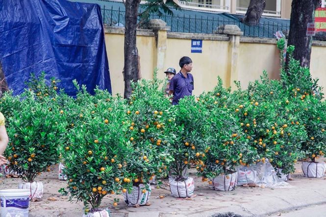 Quat, dao 'dai ha gia' tran ngap pho Ha Noi ngay 30 Tet-Hinh-9