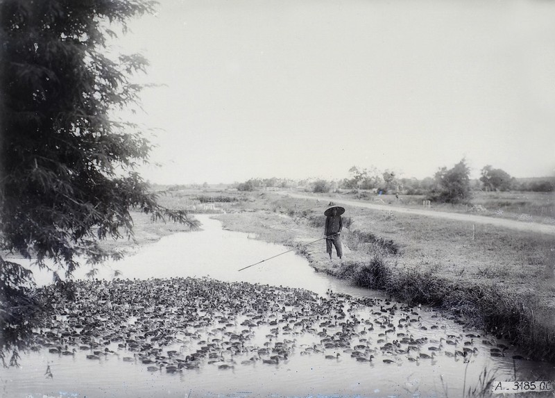 Anh khong dung hang ve Bien Hoa thap nien 1920-Hinh-7