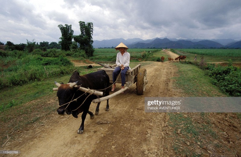 Dien Bien Phu nam 1994 qua ong kinh phong vien quoc te-Hinh-10