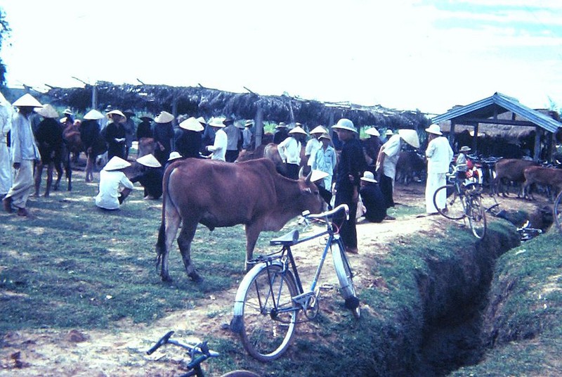 Dac biet mien Trung nam 1967 qua ong kinh linh My-Hinh-9