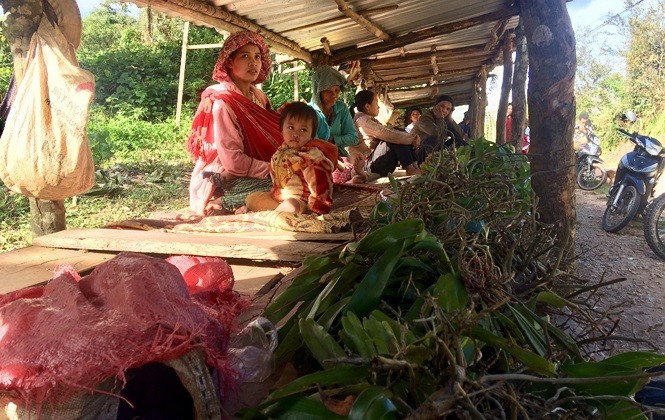 Doc dao ‘cho san vat 10 nghin’ chenh venh tren deo Mang Roi-Hinh-3