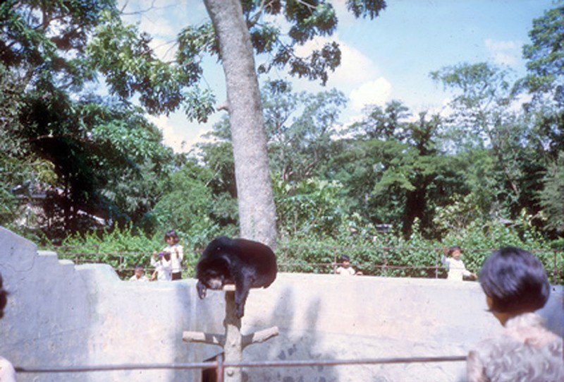 La lung Thao Cam Vien Sai Gon 1965 qua ong kinh nguoi My-Hinh-7