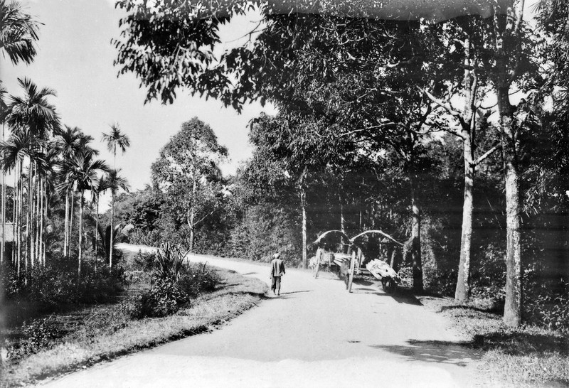 Hinh doc ve giao thong tren Quoc lo 1 thap nien 1920-Hinh-2