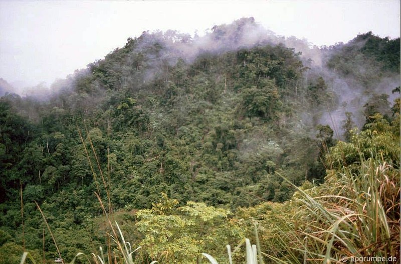 Ngam canh tuong dep ngat ngay o Cao Bang nam 1993-Hinh-11