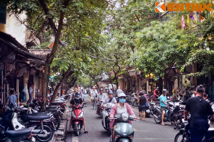 Ngat ngay giua con pho co mui “nong nan” nhat Ha Noi