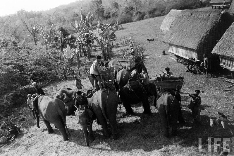 Ngam dan voi hoanh trang o Buon Ma Thuot nam 1957-Hinh-9