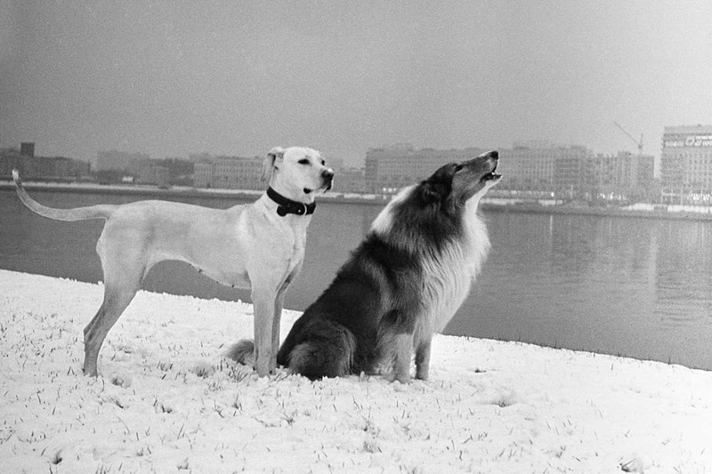 Anh doi thuong kho quen o Leningrad thap nien 1970 - 1980-Hinh-9