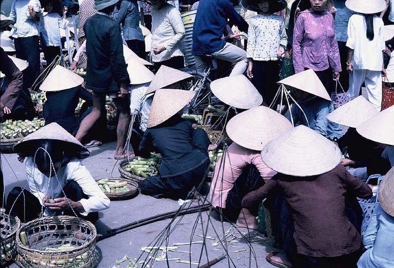 Loat anh cuc sinh dong ve cho Phan Thiet nam 1967-Hinh-4