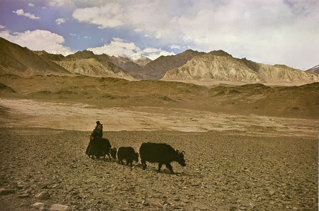 To mo cuoc song huyen bi tren day Himalaya thap nien 1970-Hinh-10