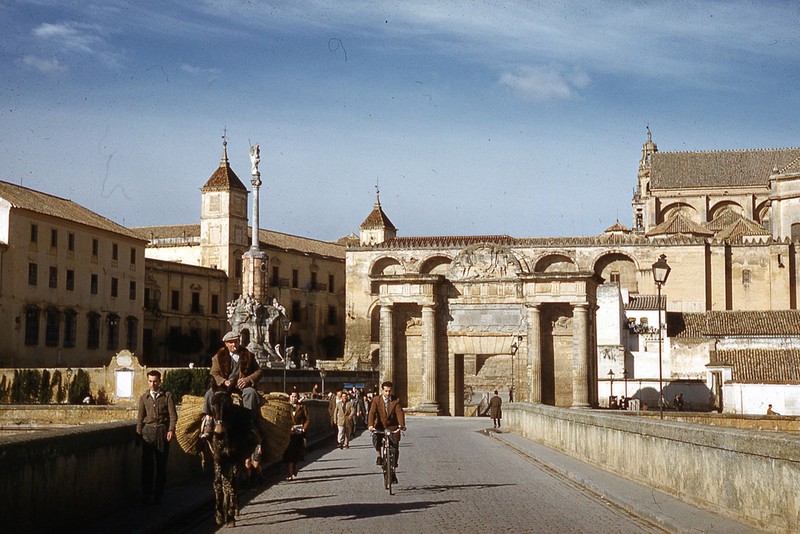 Me man voi cuoc song thanh binh o Italia thap nien 1960-Hinh-9