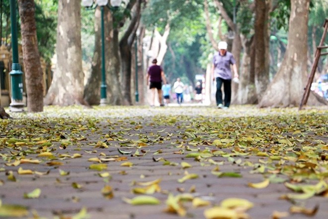 Thoi tiet ngay 14/3: Bac Bo chuyen lanh, Trung Bo co the xay ra loc