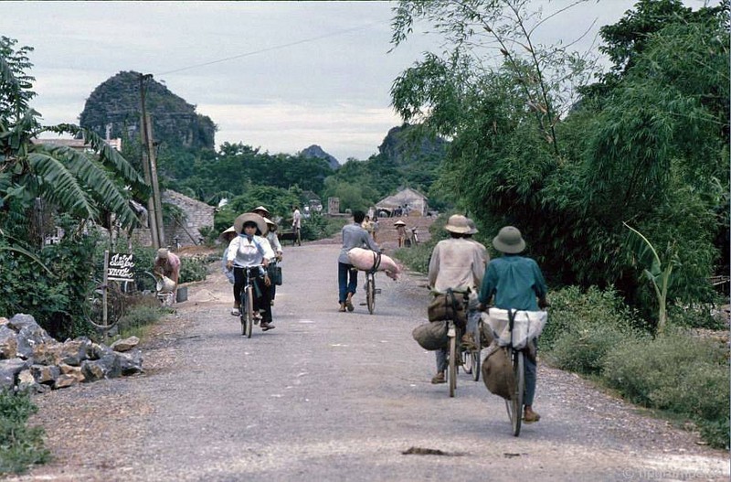 Tron mat canh cho lon bang xe dap o Viet Nam thap nien 1990-Hinh-4